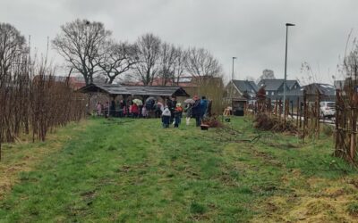 Schulwaldtag der 1./2. Klassen